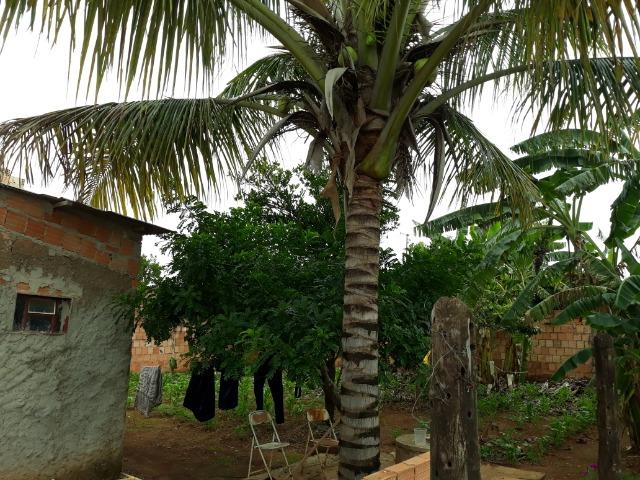 Casa com 6 cômodos baratíssimo em Luziânia- GO!!! - Foto 13