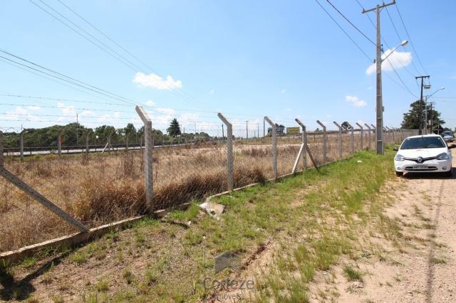 Terreno na Região do São Marcos BR-376 - Foto 3