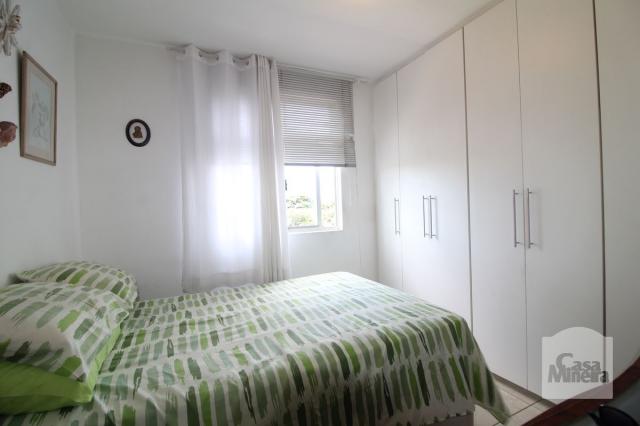 Apartamento à venda com 4 dormitórios em Calafate, Belo horizonte cod:240539 - Foto 4
