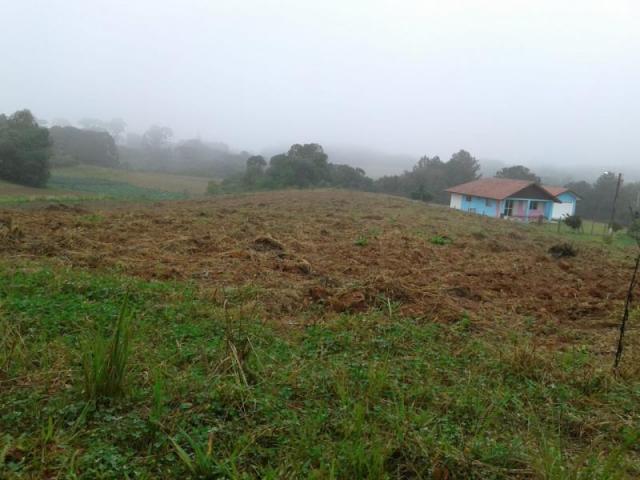 Sítio / chácara para venda em são josé dos pinhais, colônia murici - Foto 2