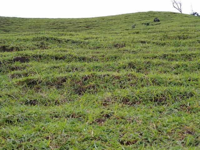 Fazenda de 30 alqueires ou 1.440.000 m² Casimiro de Abreu, RJ - Foto 7