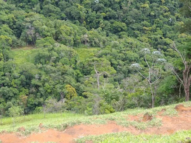Fazenda de 150 alqueires ou seja 7.200.000 m² em Casimiro de Abreu, RJ - Foto 20