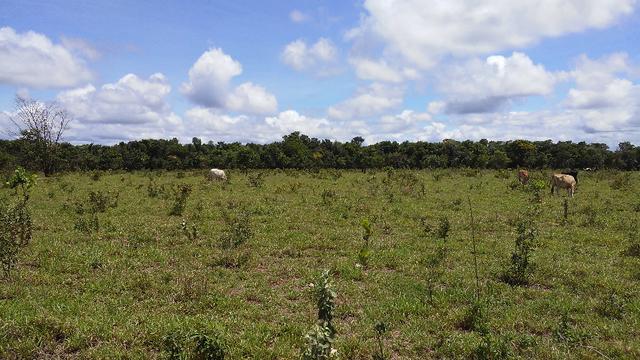 Bela Chacrinha 02ha - Lindo Lugar - Foto 2