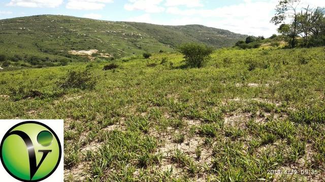 Areá com 65 Hectares nas Margens da Pista de Mandacaru em Gravatá-PE - Foto 19