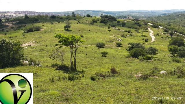 Areá com 65 Hectares nas Margens da Pista de Mandacaru em Gravatá-PE