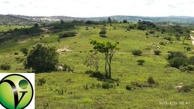 Areá com 65 Hectares nas Margens da Pista de Mandacaru em Gravatá-PE - Foto 6