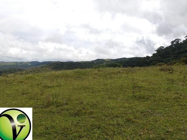 Temos Sua Fazenda de 65 hectares a 1.200 Hectares na Região de Pernambuco/PE - Foto 16