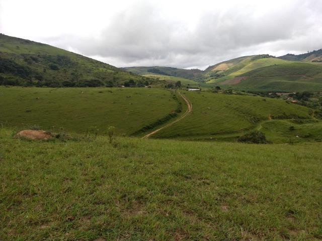 Temos Sua Fazenda de 65 hectares a 1.200 Hectares na Região de Pernambuco/PE