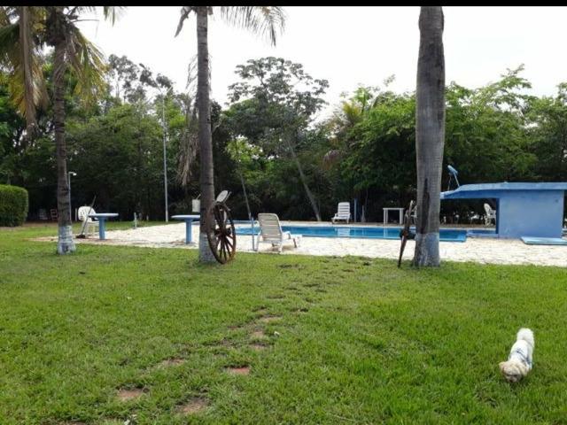 Lote Arara Vermelha Aparecida Taboado Ms, para Rancho** área de camping e piscina - Foto 5