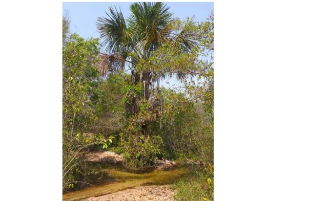 9,50 alqueires, ocasião, Santaninha Pecuária, aceito parte em carro. - Foto 2