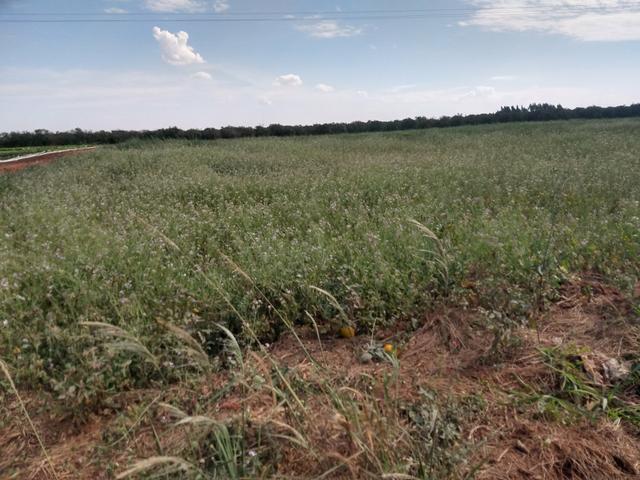 Chácara próximo a Paulínia 1400mts 40mil