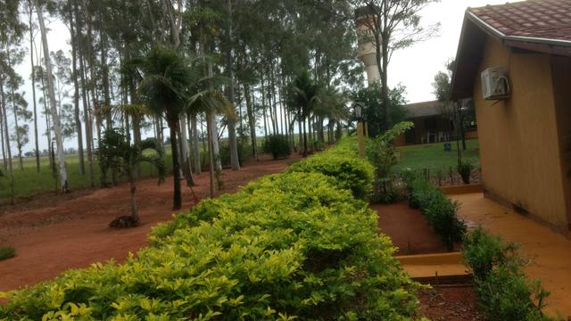 Arrendo Sitio 25 Hectares no Noroeste Pr - Foto 8
