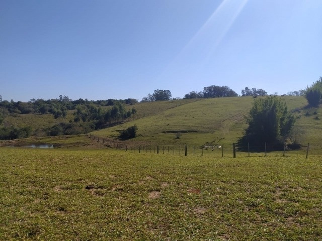 Velleda oferece linda fazenda 70 hectares 10 km da RS-040, aproveita 100%