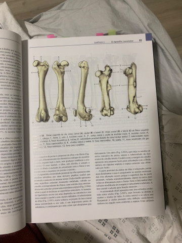 Tratado de anatomia veterinária DYCE 4ª edição - Foto 3
