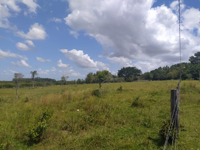 Velleda oferece sitio 3 hectares com casa e 2 açudes - Foto 3