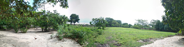 Terreno 21.000m2* próximo a BR 316 em Marituba - Foto 2