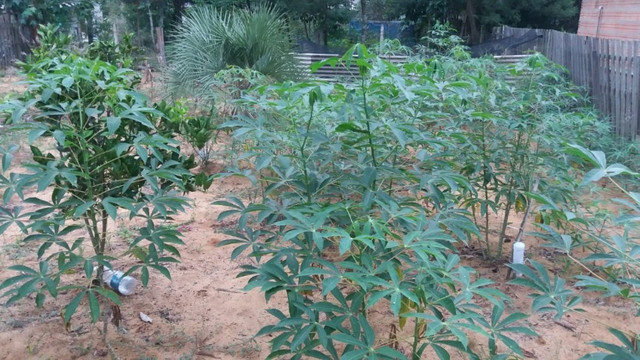 Velleda oferece excelente local para quem busca paz e tranquilidade - Foto 18
