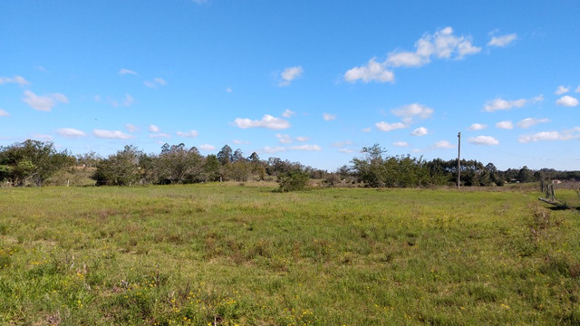 SSV Imóveis Apresenta, 2.550 m2, 1 km da RS 040, veja - Foto 9