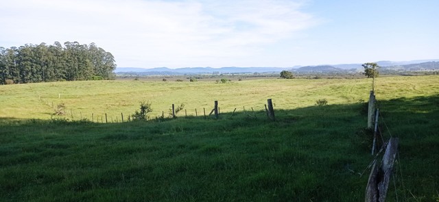 Fazenda 51 Hectares, santo Antônio da patrulha   - Foto 2