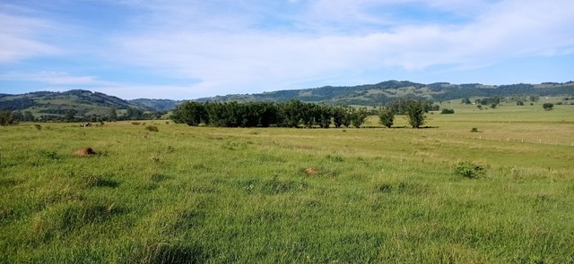 Fazenda 51 Hectares, santo Antônio da patrulha   - Foto 3