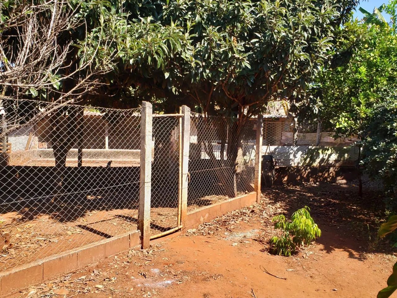 Sitio Serra Azul Imperdivel - Foto 4