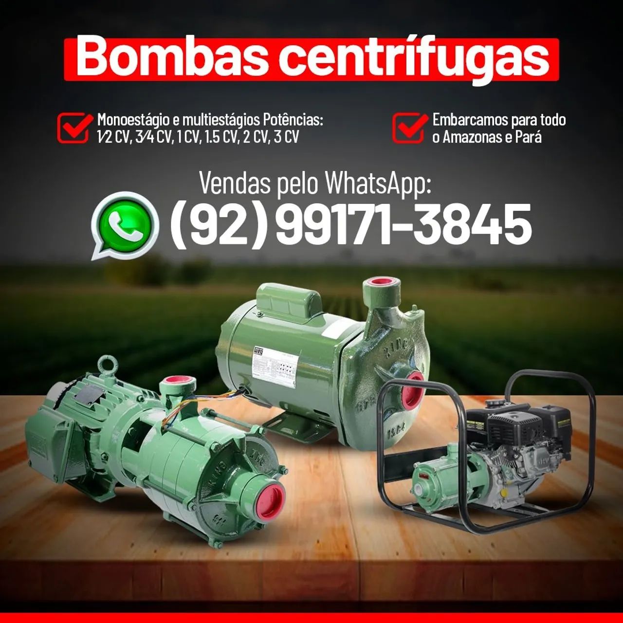 Bomba Centrífuga King Monofásico  - Foto 3