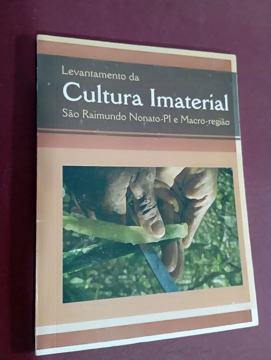 Livro Levantamento da Cultura Imaterial São Raimundo Nonato-PI e Macro-região