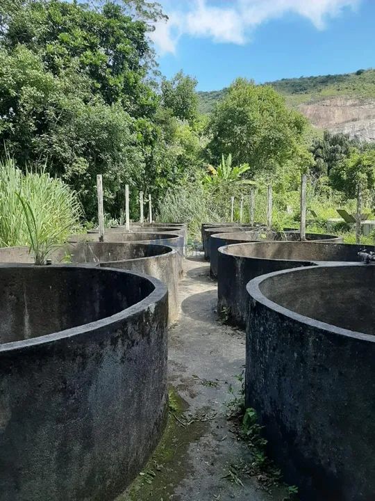 Vargem Pequena | Sítio - Foto 12