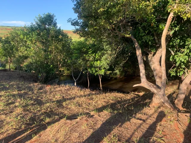 CHÁCARA/ LOTE Ribas Oportunidade