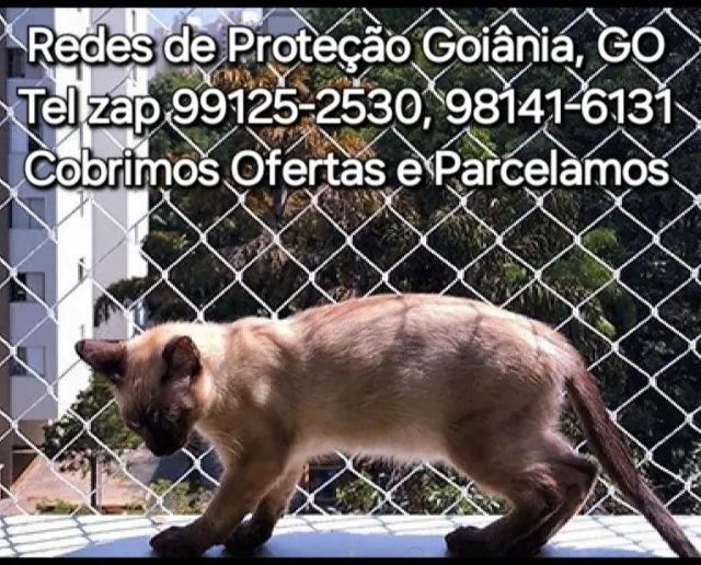 Rede de proteção - Foto 5