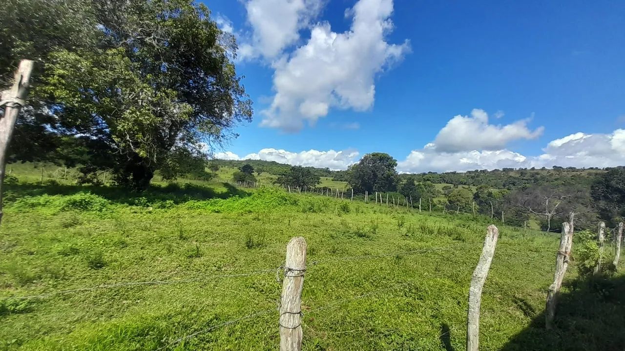 Vende-se fazenda com 353 tarefas com água em abundância em Catú/Ba - Foto 4