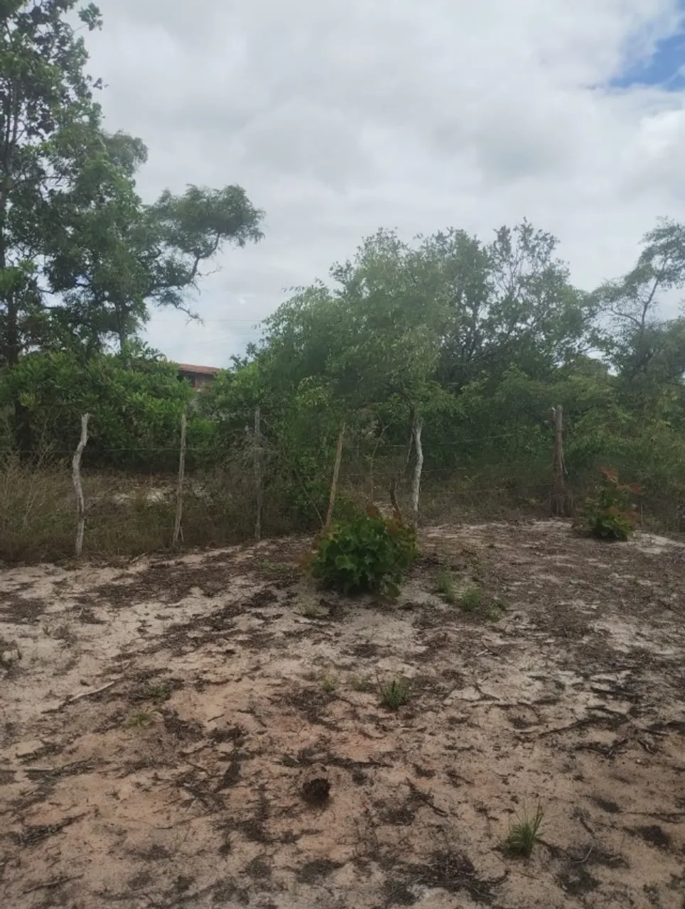 Terreno na linha verde