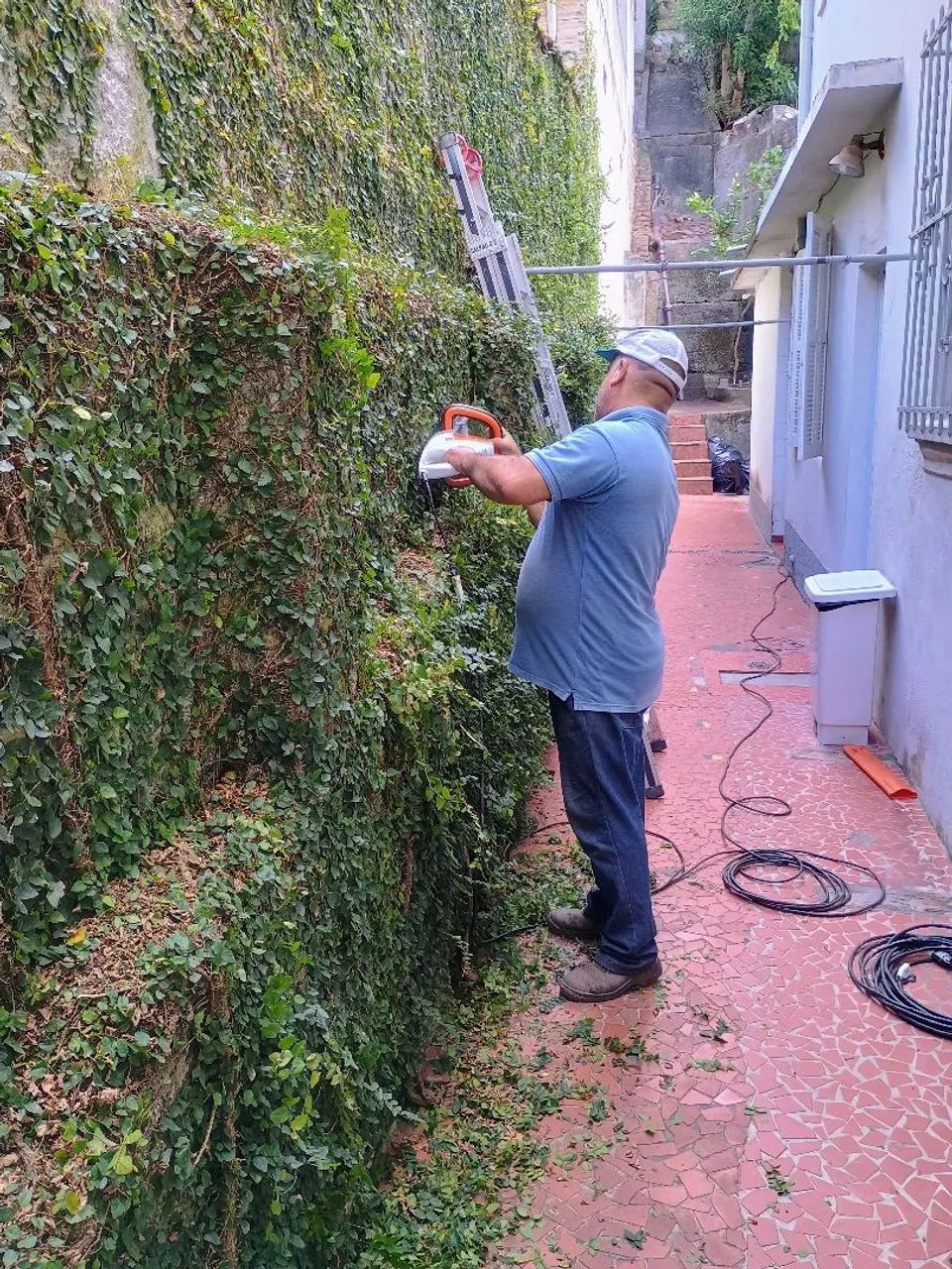 Aparador de cerca viva Stihl 110v - Foto 5