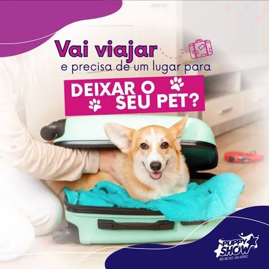 Hotel pra pet