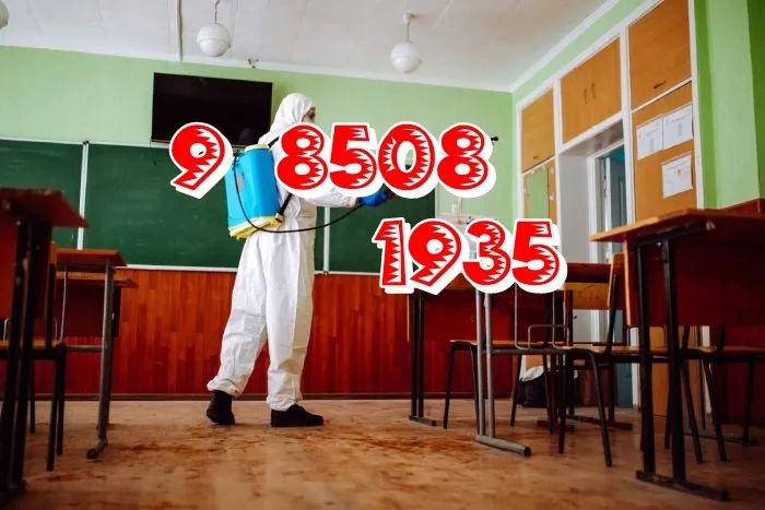 Dedetização Contra Cupins Pragas  Descupinização - Foto 2