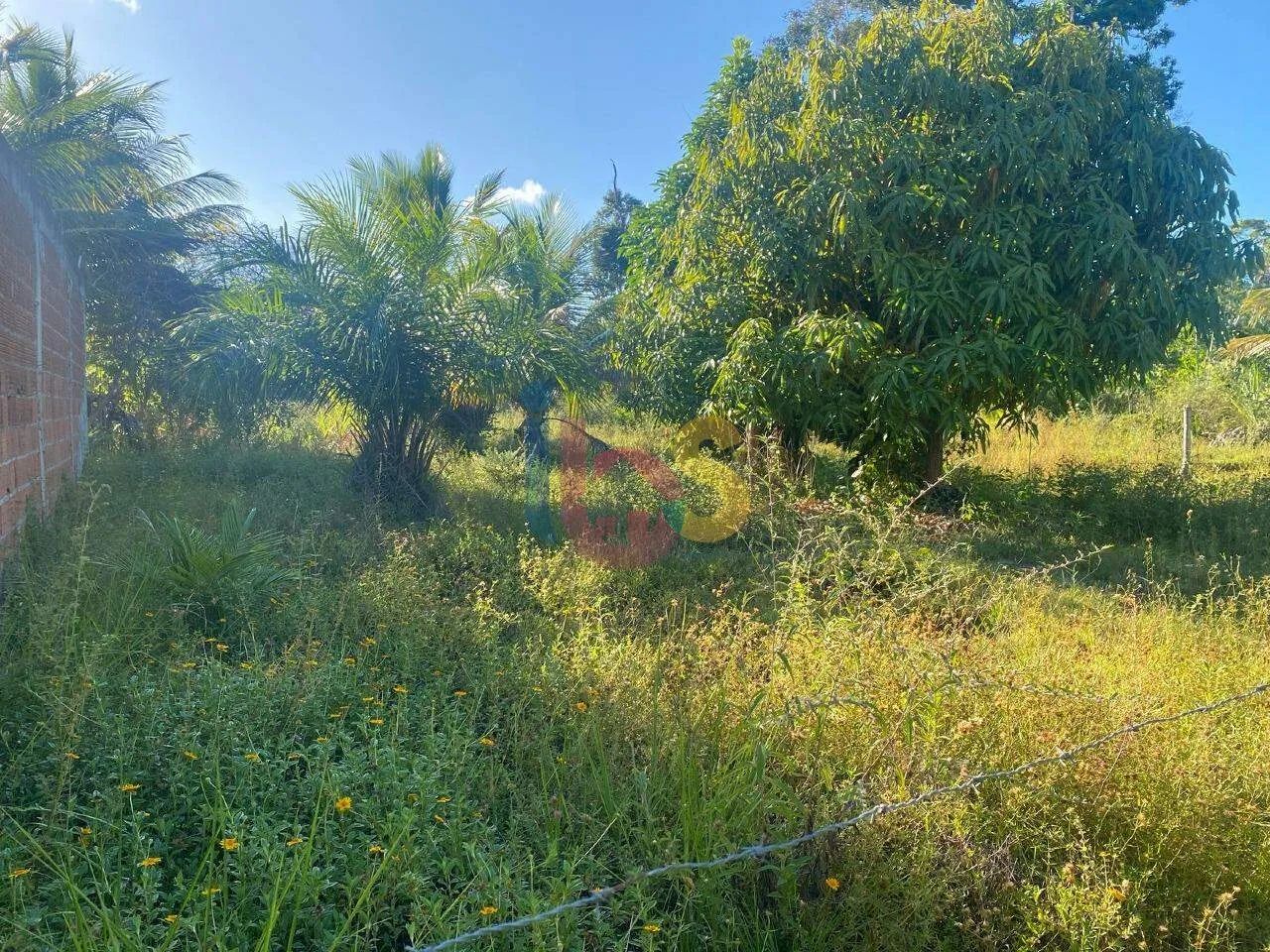 Vendo Lote na Zona Norte em Ilhéus - Foto 3
