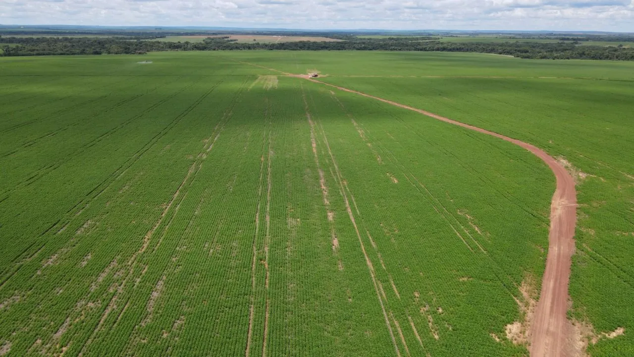 Fazenda 7.817 hect em Paranatinga MT. 4.200 plantando argila 27 a 35% 320 milhões.