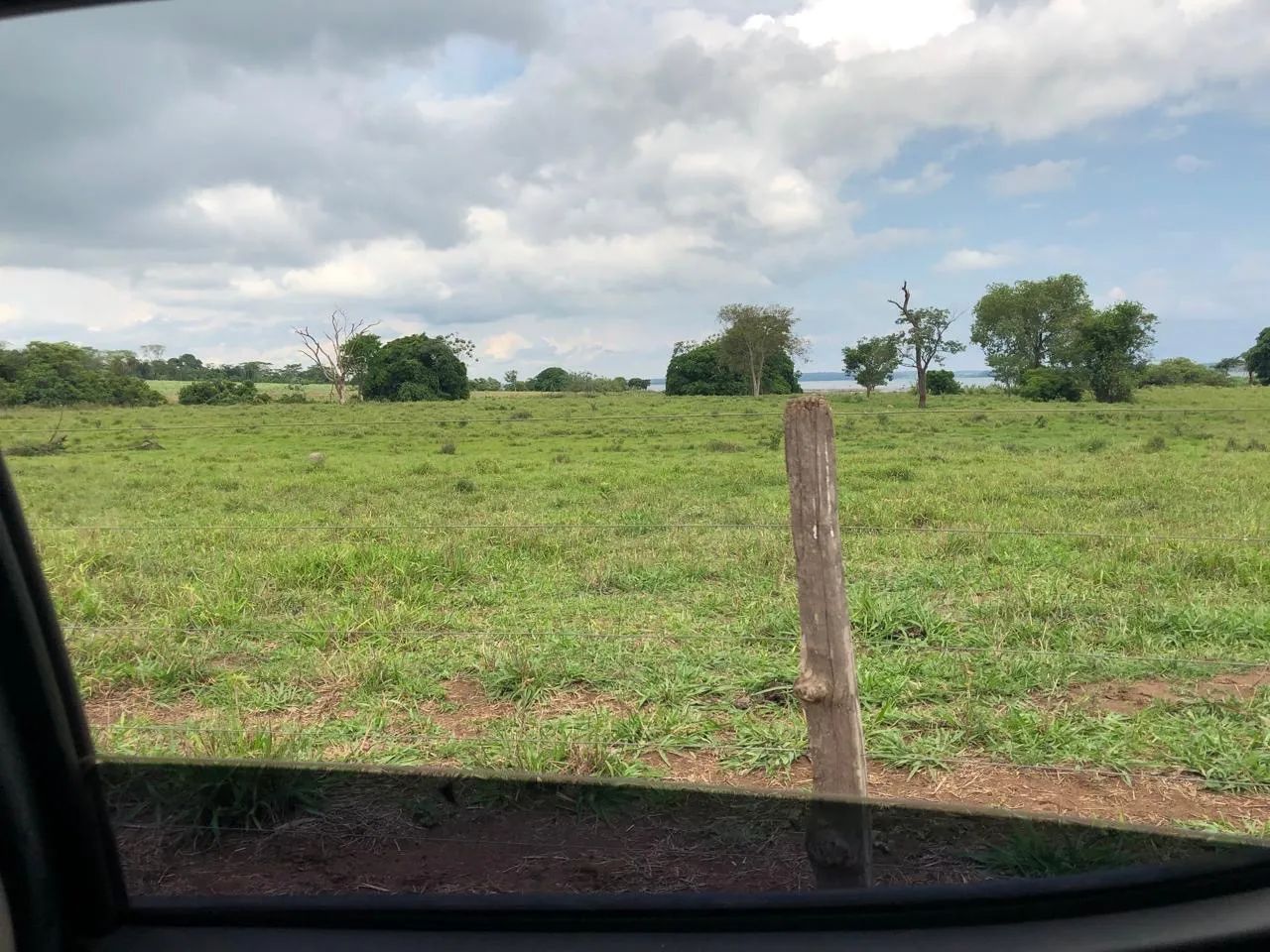Fazenda em carneirinho na cana  - Foto 5