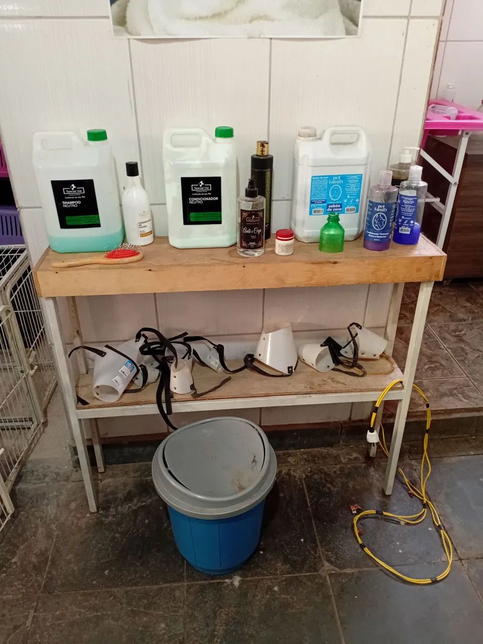 Banho e tosa completo imperdível - Foto 4