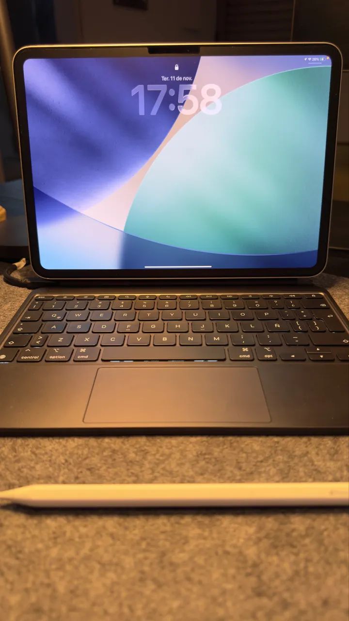 iPad Pro 11インチ m4 シルバー 本体 apple Pencil付き 11インチiPad Pro Wi‑Fiモデル 256GB（標準ガラス搭載）- シルバーを