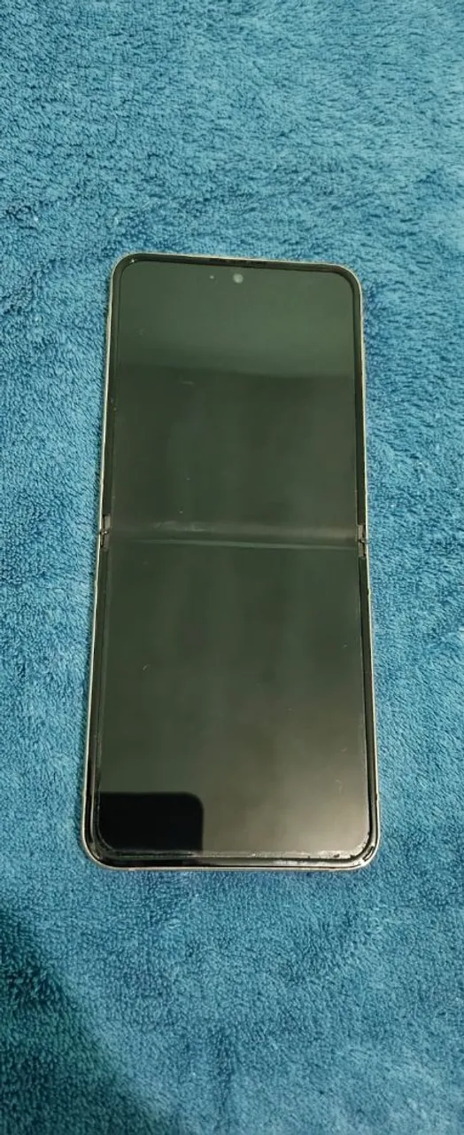 Zflip4