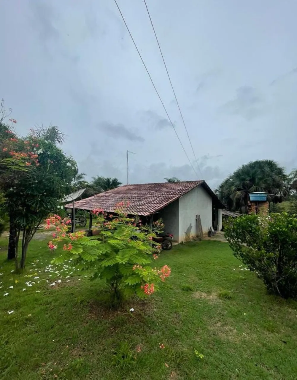 Fazenda 20 alqueires próximo a Gurupi TO