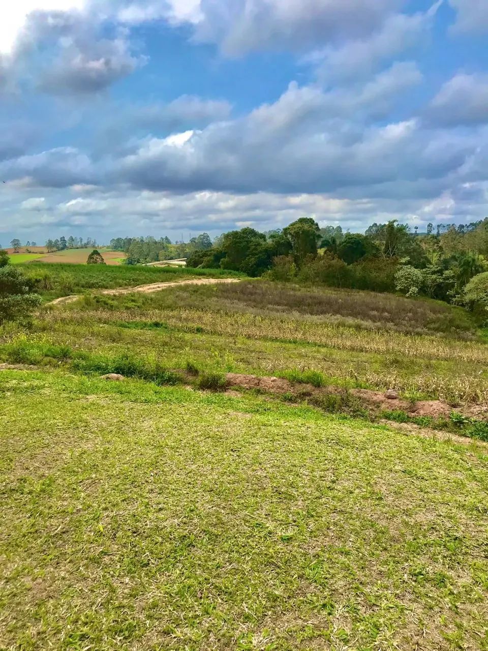 Seu Refúgio Diante da Correria da Cidade! 500m² de Paz por R$60mil! - Foto 4