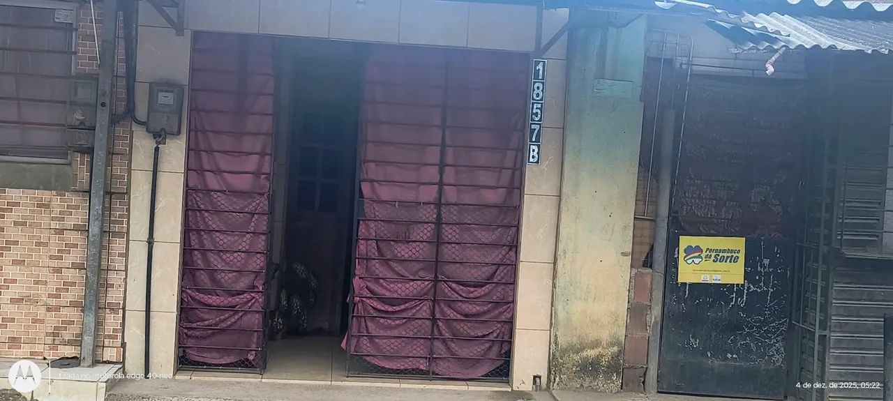 Foto - Olinda - Passarinho