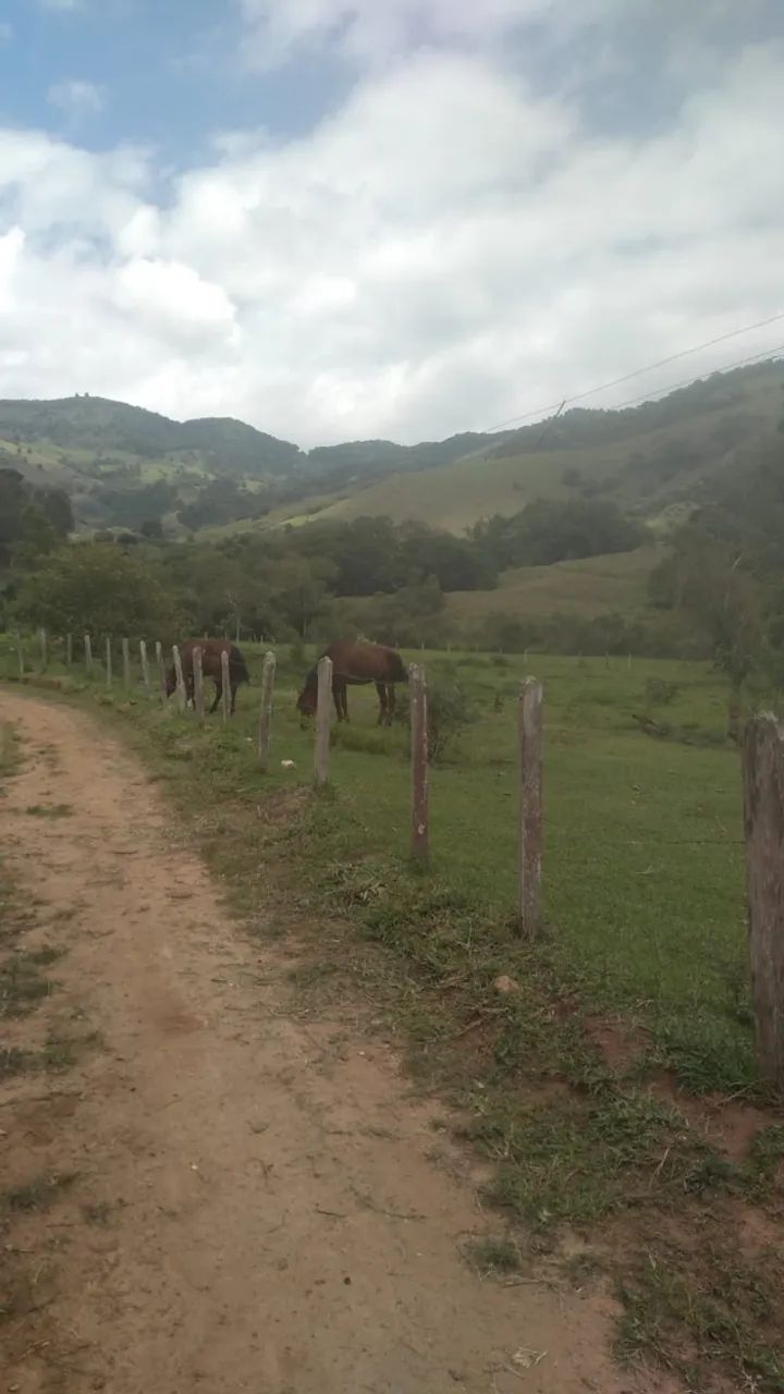 Foto - São José dos Campos - Jardim Santa Inês III