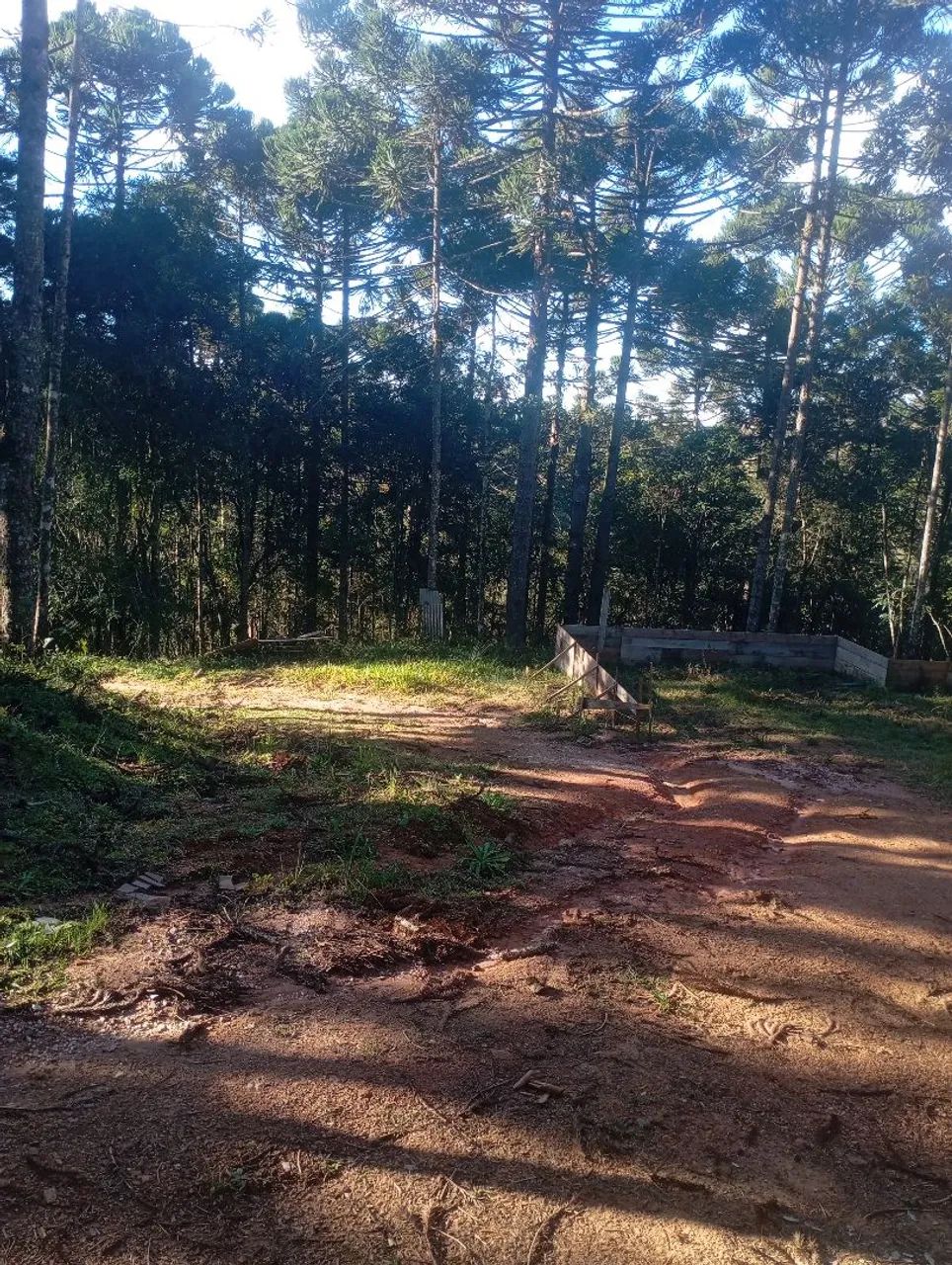 Chácara roseira - Foto 2