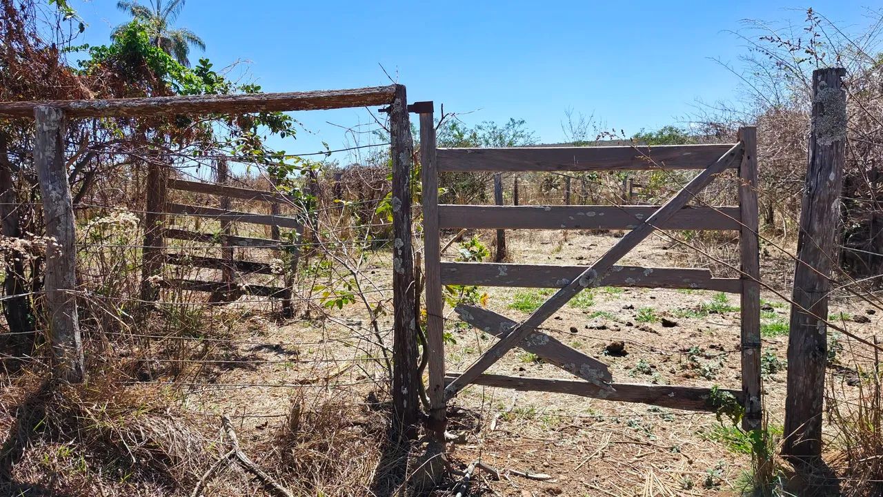 Fazenda a venda e flores de Goiás  - Foto 2