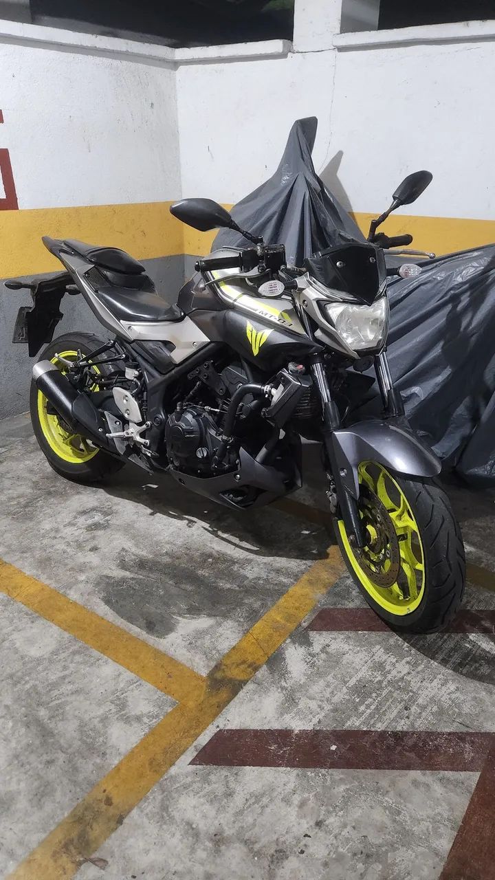 Mt03