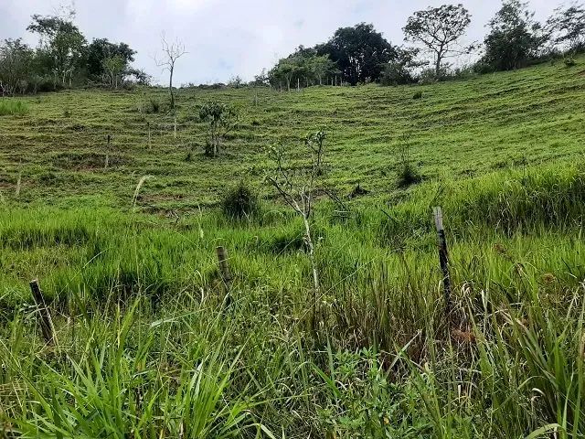 PROPRIEDADE 22 ALQUEIRES  IMBÉ BRINCO