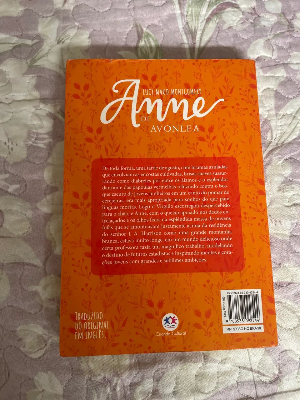 Anne de Avonlea - Foto 2